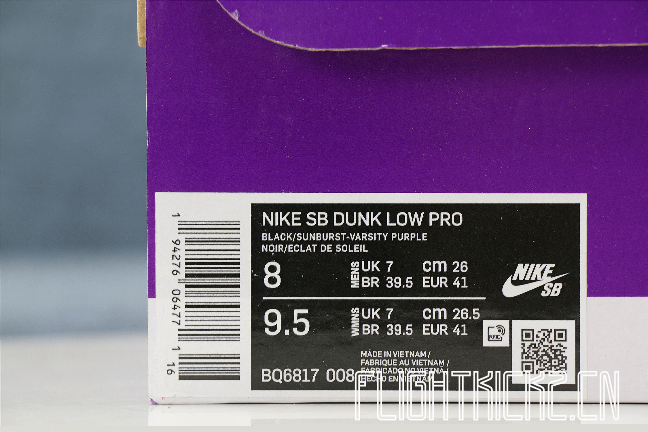 Nike SB Dunk Low “ACG Terra” 2020