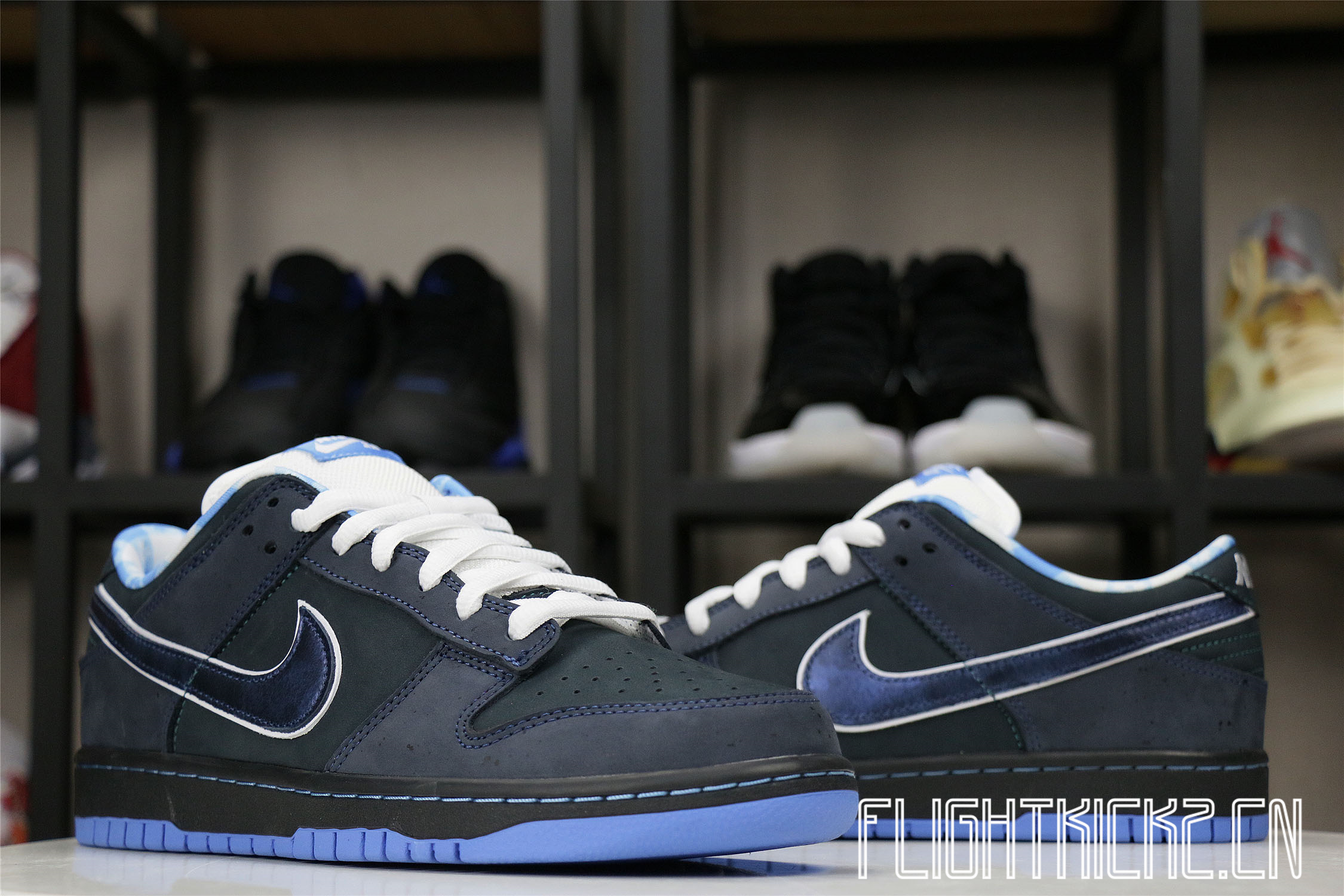 Nike Dunk SB Low Blue Lobster