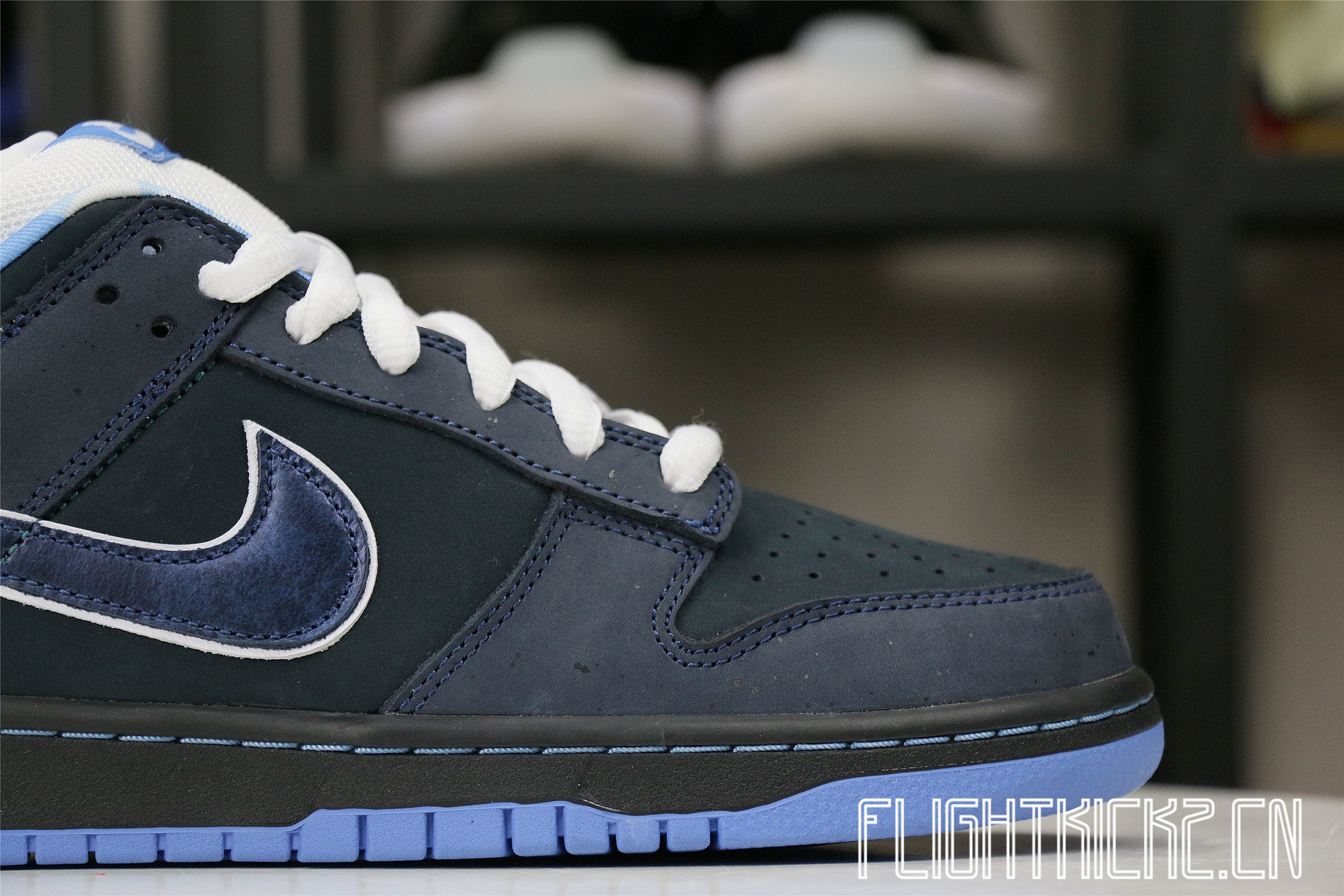 Nike Dunk SB Low Blue Lobster