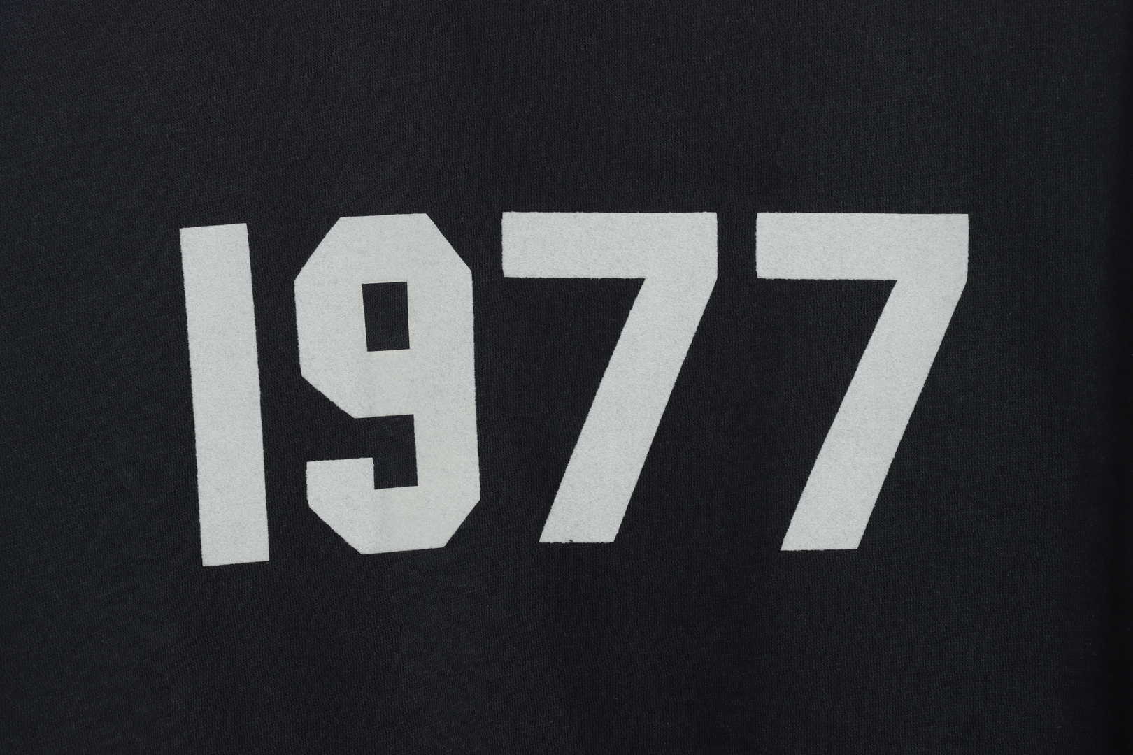 Ess3nt1als F0G 1977 flocking plus fleece sweater