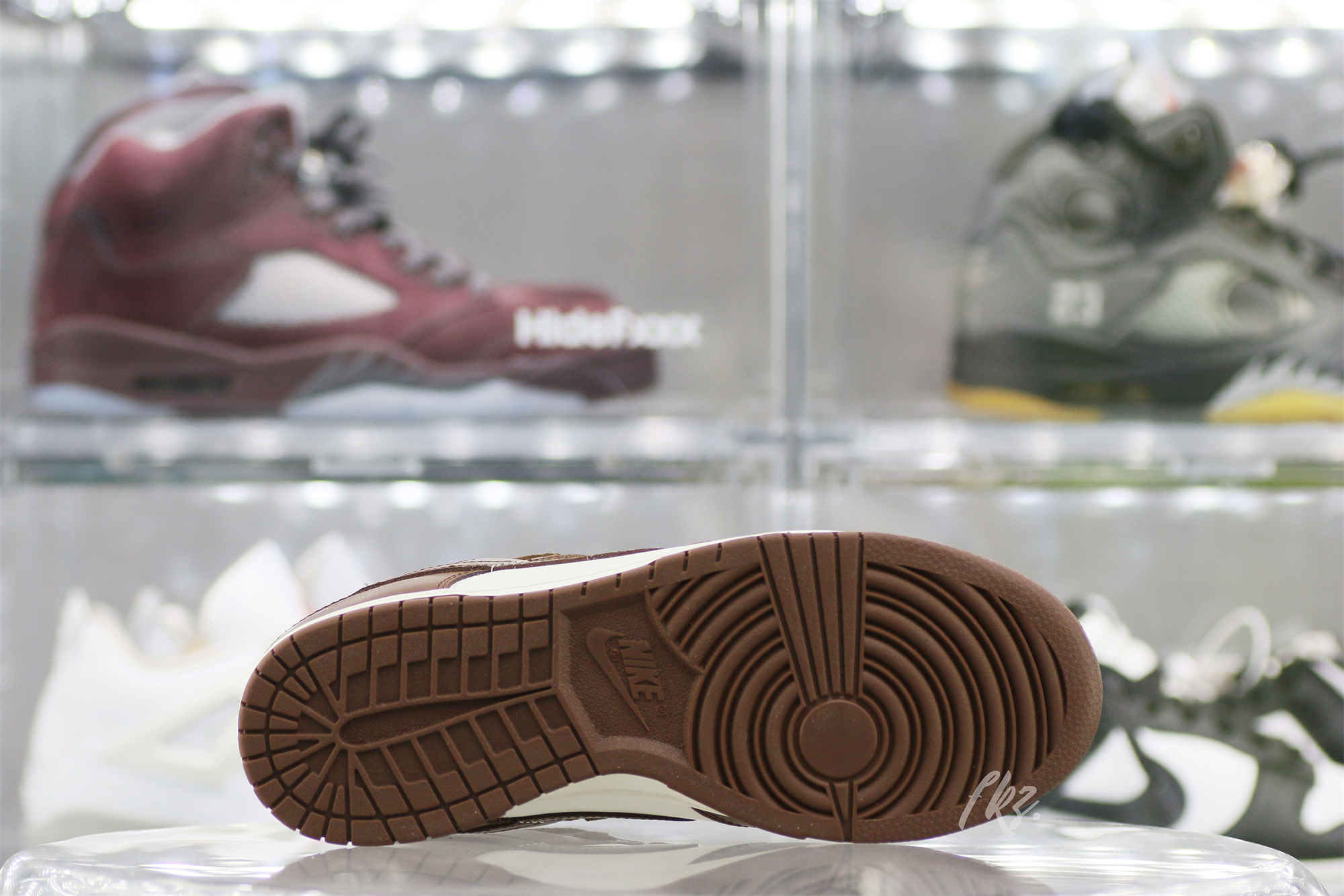 Nike Dunk Low Cocao Wow Brown Sail 2023